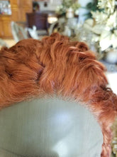 Copper Red Beauty Curly Waves Lace Front Wig
