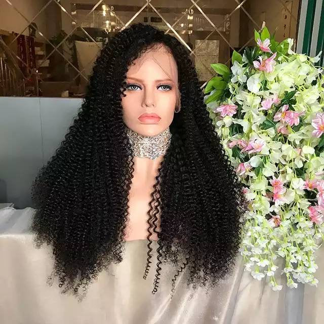 Black Curly// Human Hair/ Lace Front Wigs// Beautiful// Curly// Brazilian Remy//Wig//Glueless// Lacewig - Goddess Beauty Royal Wigs